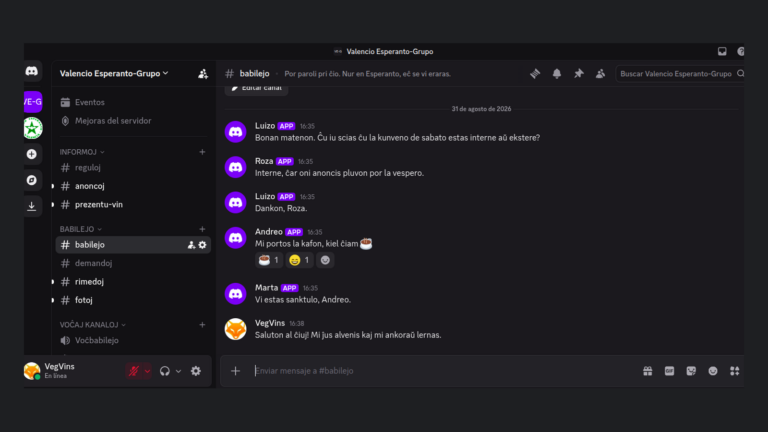 La pantalla de Discord con la lista de salas y una conversación