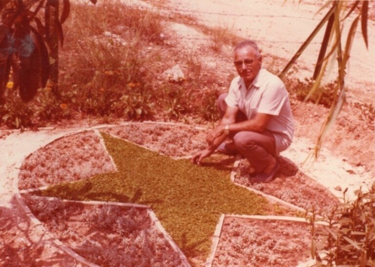 L'estrela verda de l'esperanto, a l'entrada de la casa de Loriguilla.